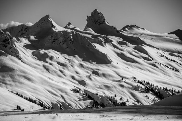 License to Thrill: Avalanches and the Solution