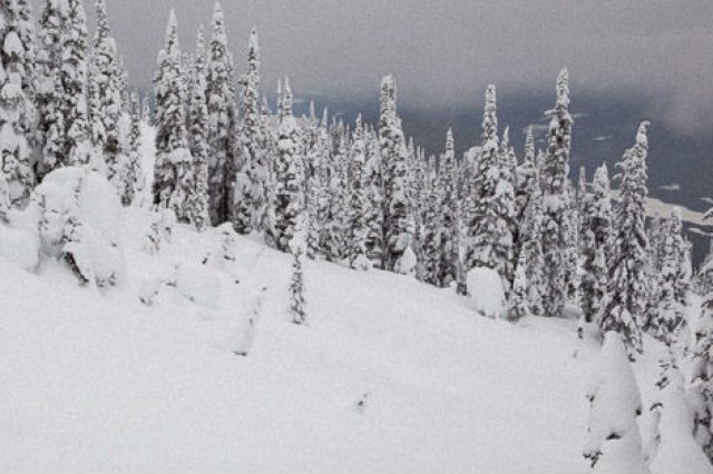 Silence in the Aftermath of an Avalanche