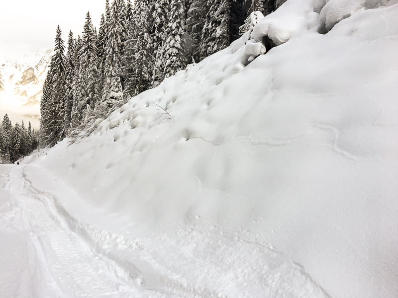 Avalanche Warning Signs
