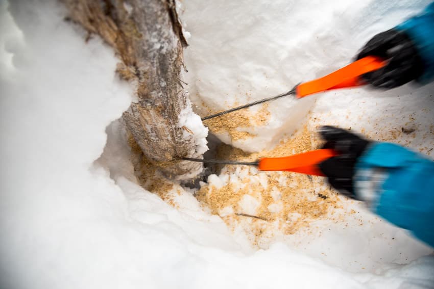 Mountain Lab Backcountry Chainsaw