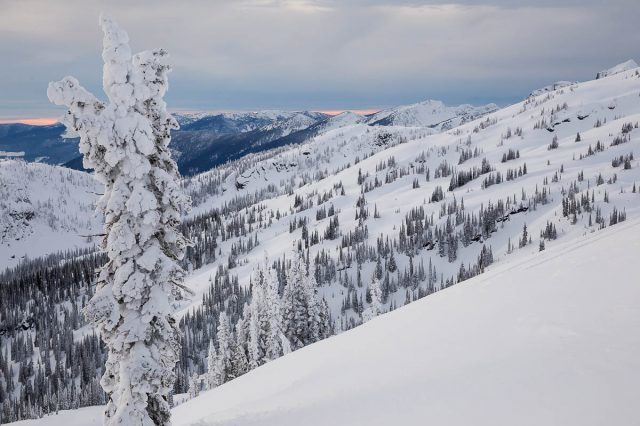 Avalanche Research Program Seeks Feedback from Backcountry Users of All Experience Levels