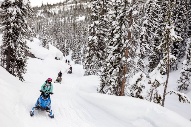 Industry Leaders Work to Establish Association of Snowmobile Guides in BC