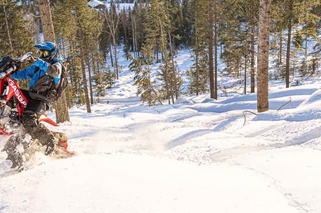 2023 Timbersled