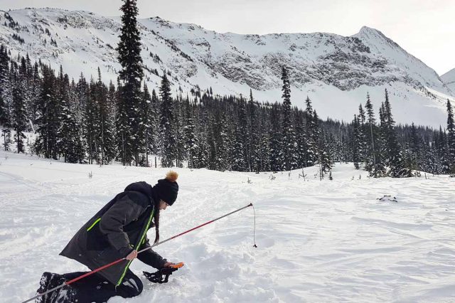 Avalanche Transceiver Interference From Devices