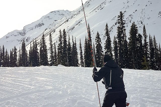 Avalanche Transceiver Interference From Devices