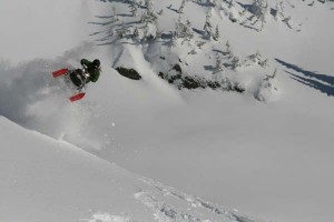 Pro Report with Dan Treadway