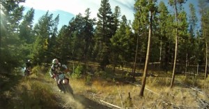 Norona says WINTER AIN’T HERE YET!