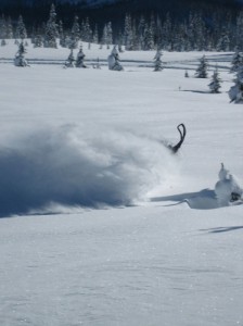 Emotional Rollercoaster